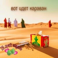 Вот идет караван