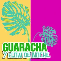 Guaracha  & Flow de Noche