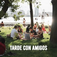Tarde Con Amigos