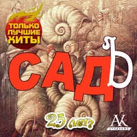25 лет. Только лучшие хиты