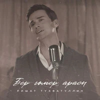Бер гомер арасы