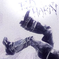 Ed Hardy