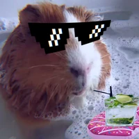 ХЛЮПАЙ