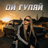 Ой гуляй
