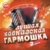 Лучшая кавказская гармошка, Ч. 2