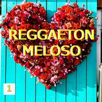 Reggaeton Meloso Vol. 1