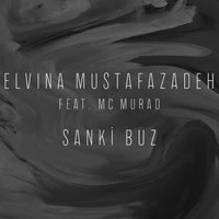Sanki Buz