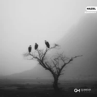 Hazel