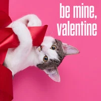 be mine, valentine
