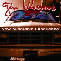 New Miserable Experience