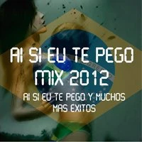 Ai Si Eu Te Pego Mix 2012