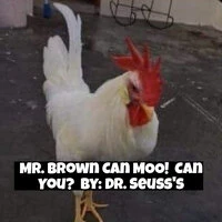 Mr. Brown Can Moo!  Can You?  By: Dr. Seuss's