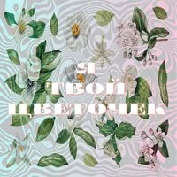 Я твой цветочек