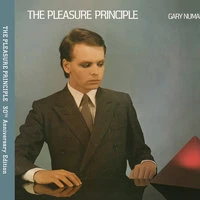 The Pleasure Principle