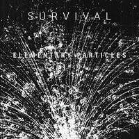 Elementary Particles