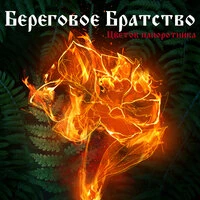 Цветок папоротника