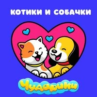 Котики и Собачки