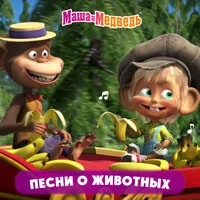 Песни о животных