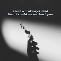 i know i always said that i could never hurt you